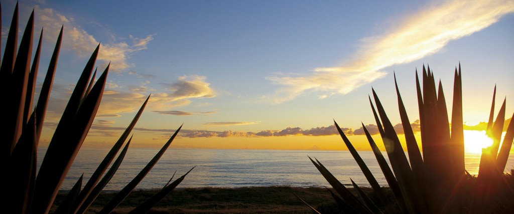 Perché adesso che abbiamo messo online il sito di Yes in Sicily non potrai fare a meno di sceglierci per le tue vacanze in Sicilia!